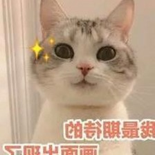 惠州市用户热议：小🐔🐔伸进🈲🔞🔞A官方版下载的最新动态