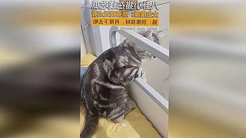 已满十八岁60分钟电视剧官方版：最新内容解析与下载指南