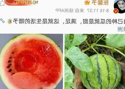 小巧🐥伸女生🍑🍑里姿势官方版：最新动态与推荐指南
