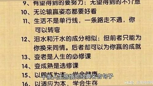 全面解析9+1视频免费官方版的最新动态与使用指南