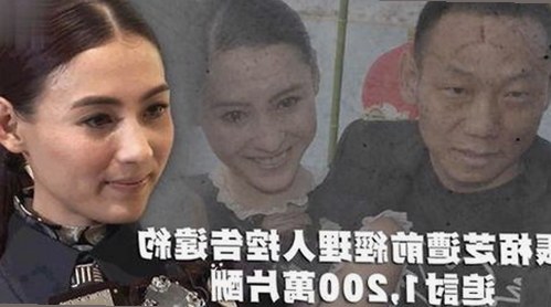 茄子视频：探索多样化的在线视频资源与最新动态