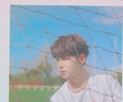 黑河市用户热议：91免费2026最新版带来全新体验