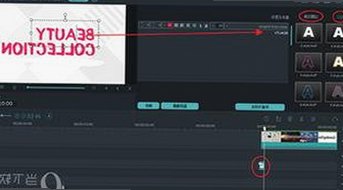 黑河市用户热议：91免费2026最新版带来全新体验