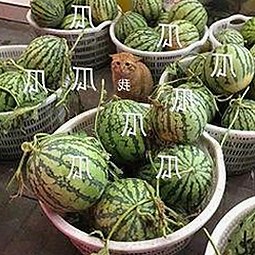 ww我的快乐在哪里最新版下载：畅享最新娱乐体验