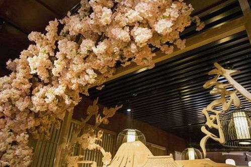 揭秘已满十八岁在线看电视剧最新版下载背后的趋势与影响