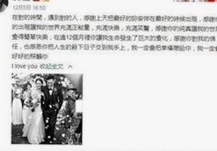 全面解析：樱桃视频官方版下载引领娱乐新体验