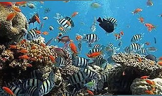 揭秘小🐔🐔伸进🈲18网站官方版下载背后的真实情况