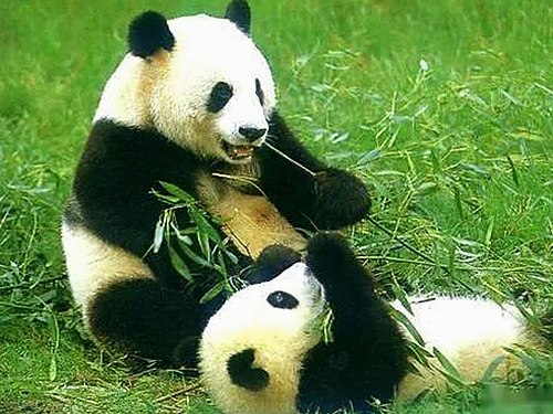 成品网站1688入口的代码体现免费版详解