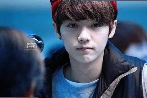 关于国产mv免费观看高清电视剧在线观看官方版的最新介绍与资源推荐