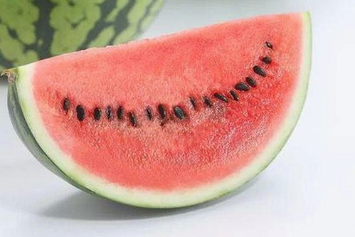 高清乱码🔞❌♋免91官方版下载：畅享精彩动漫与影视体验