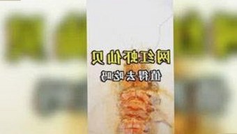 最新揭秘：如何安全获取菠萝TV免费版下载方式