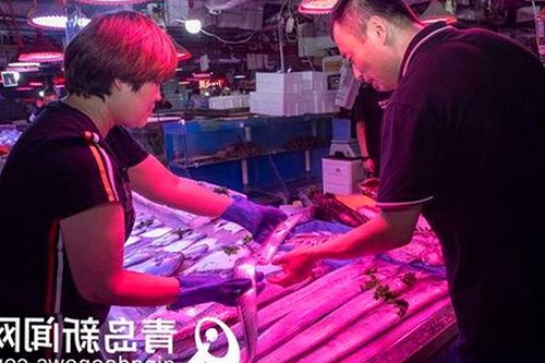 揭秘51黑料官方版免费版：最新动向与相关资源分析
