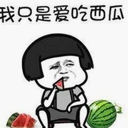 从黄色软件下载到内容安全：乌海市用户的选择变化