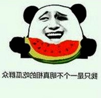 最新动向：西瓜视频免费最新版下载带你畅享高清影视体验