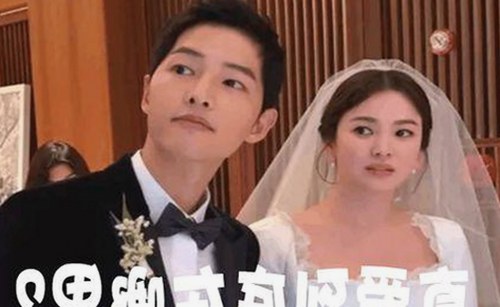 探秘茄子视频官方版：最新版本下载与安全保障解析