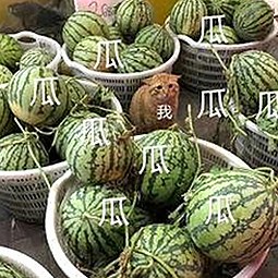 91n最新版下载：探索多款热门资源与最新动态