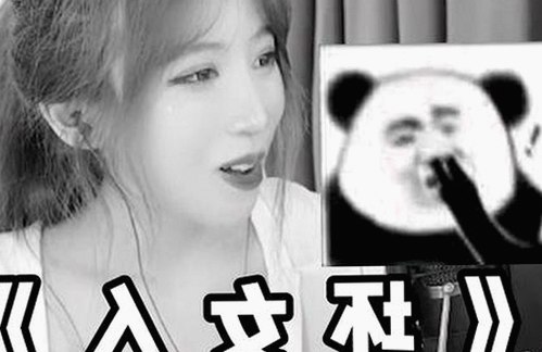 麻豆网站免费版：最新动态与使用指南