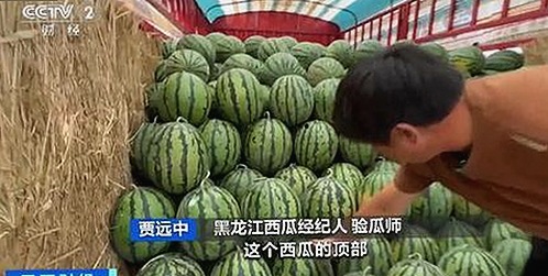 关于jm天堂安装包下载的最新动态与相关资源解析