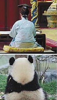 揭秘：如何安全获取看片官方版下载免费版的最新途径