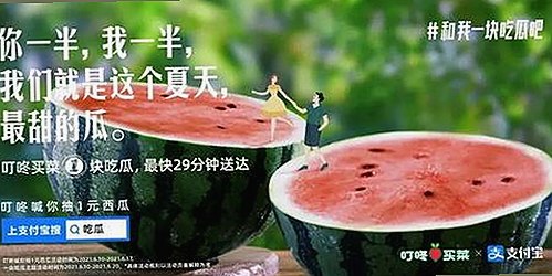 探索 jm天堂安装包下载：黄冈市用户的最新体验