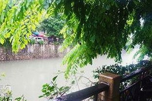 红桃视频官方版：最新在线观看体验与发展动态