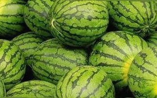 如何安全获取看片免费版下载资源及相关推荐