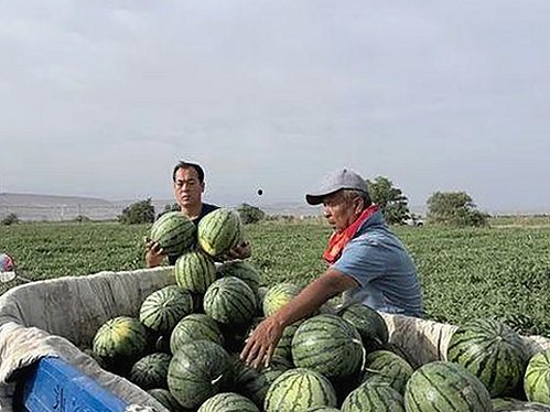 最新揭示：狼友免费视频官方版现已成为热门资源之一