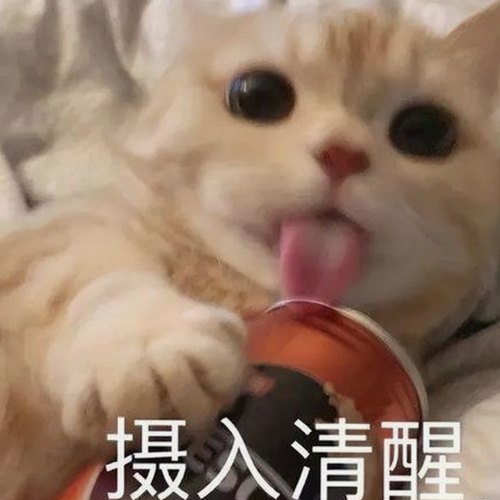 黑料 官网官方版正版下载：齐齐哈尔市网友关注的新渠道