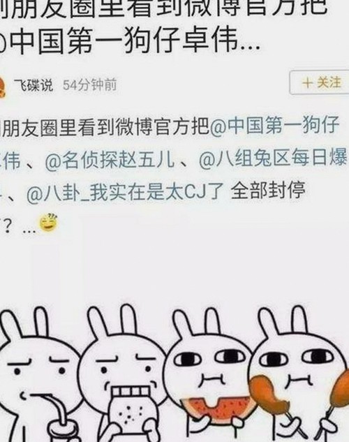 香蕉视频最新版下载带来优质内容体验，最新版本全新上线