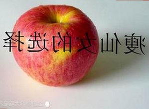 成人网官方版：全方位了解多样化内容体验