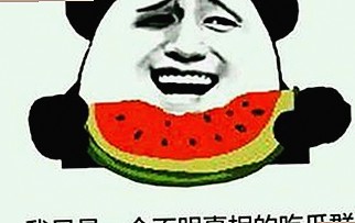 每日大赛24小时爆料最新最新版：刘宇宁娱乐圈最新动态全揭秘