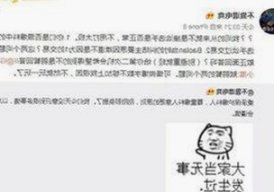 刘宇宁选择使用windows11国产免费软件官方版，展现独特科技态度