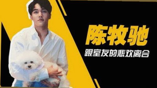 已满十八免费观看电视剧官方版免费版：最新资源与观看指南
