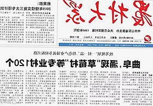 最新看片最新版下载：探索中国影视的多样魅力