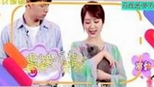 探秘“91免费免费版”：新版本引发的争议与动向