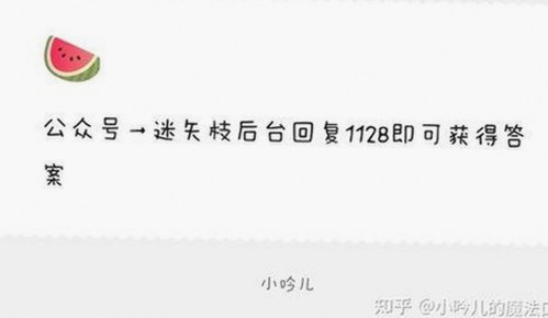 全面解析：日批官方版下载及相关资源推荐