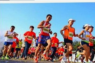 深入了解菠萝TV官方版下载及相关影视资源