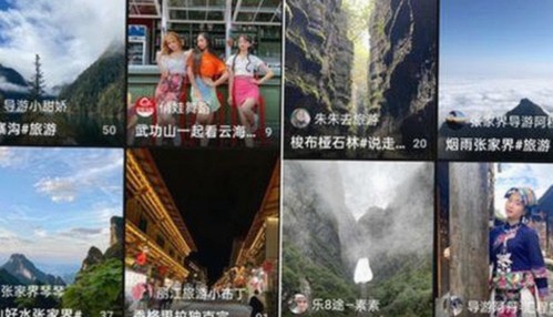 成品网站1688入口的代码体现免费版：最新效果揭秘