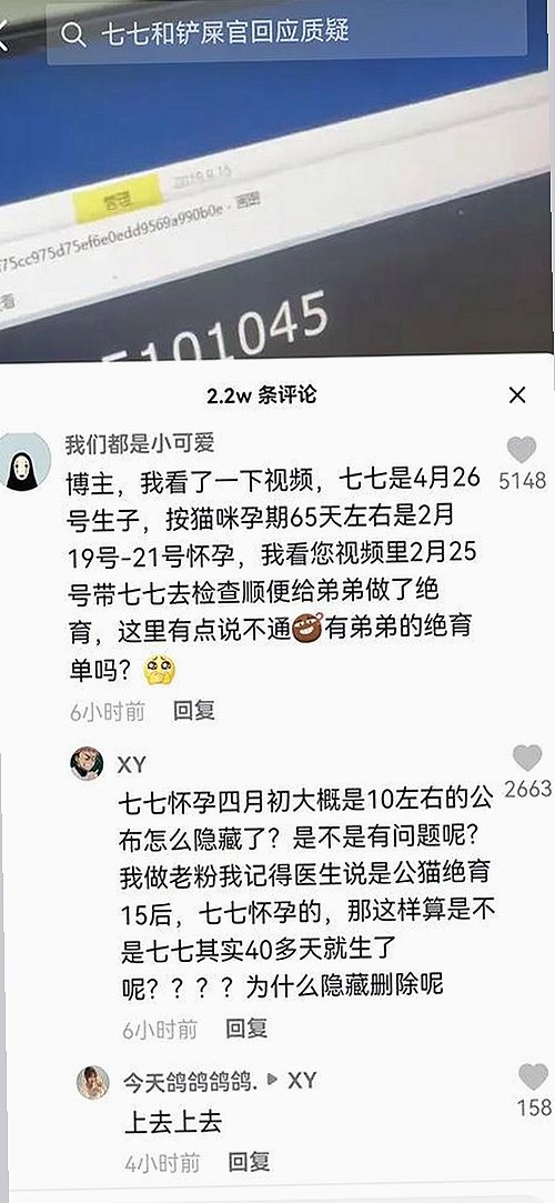 探索《乱公伦媳》免费免费版官方版：池州市用户热议的最新版本