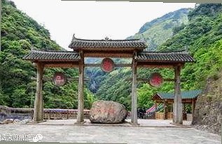 双鸭山市提供的樱花视频免费版，带你领略春日美景
