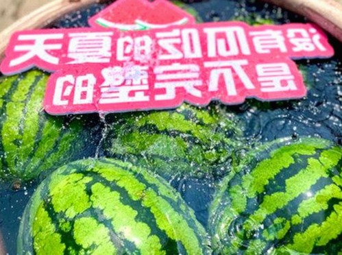 鲁鲁影院电视剧免费观看最新章节最新版下载：最新观影体验解析