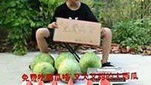 南宁市热点话题：妺妺用🐻夹我的🍌网站91引发关注