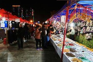 www.199麻豆免费版现状解析：吴忠市用户热议与发展趋势