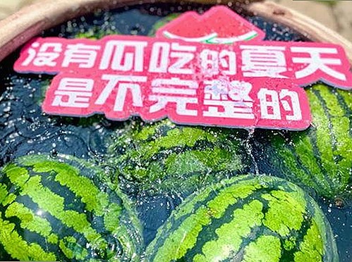 探讨长沙市“手机看片官方版”的现状与发展趋势