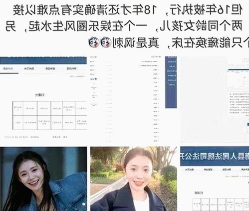 了解麻豆视频在线观看官方版免费版的最新内容与优势