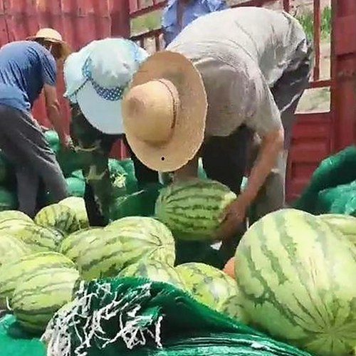安庆市黄视频免费版：畅享免费观影新体验