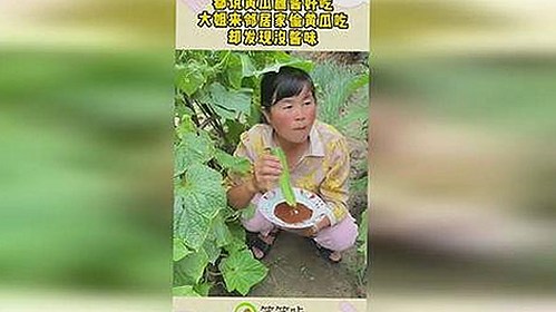 探索91❌❌❌无套直看片红桃在线观看今免费版官方版：内容背后的变化与趋势