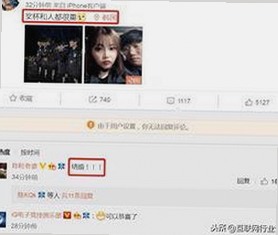 镇江市用户必备：免费看mv大片的app安装包下载指南