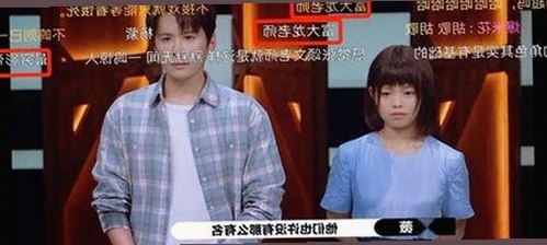 深入解析：9.1免费视频免费版官方版下载的现状与潜力