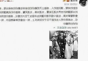 香蕉视频免费版：为丽水市用户带来精彩在线观看体验